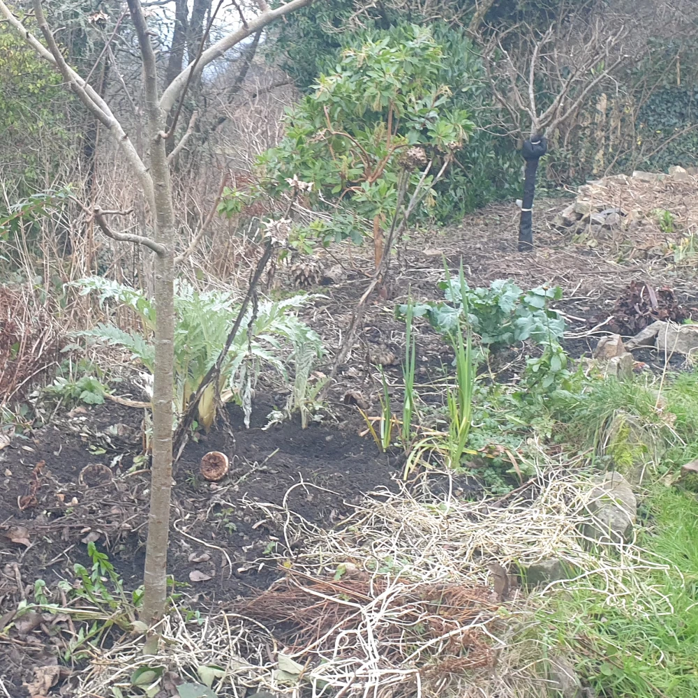 Permaculture beds in winter